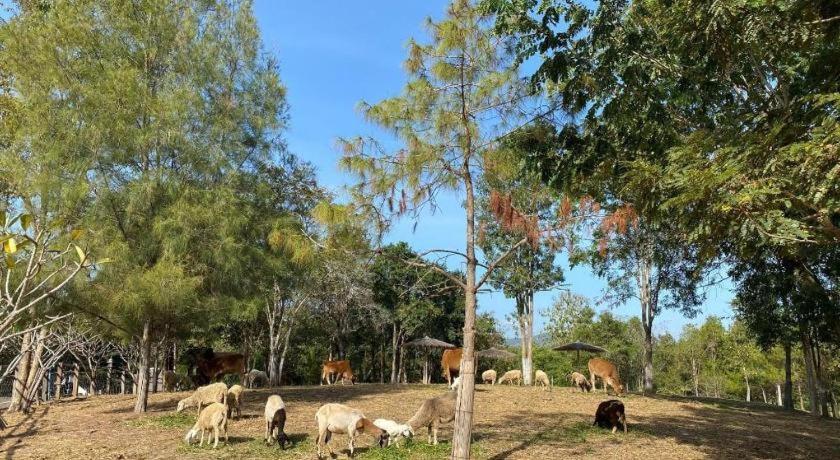Ruean Racha Hotel Chiang Mai Ngoại thất bức ảnh